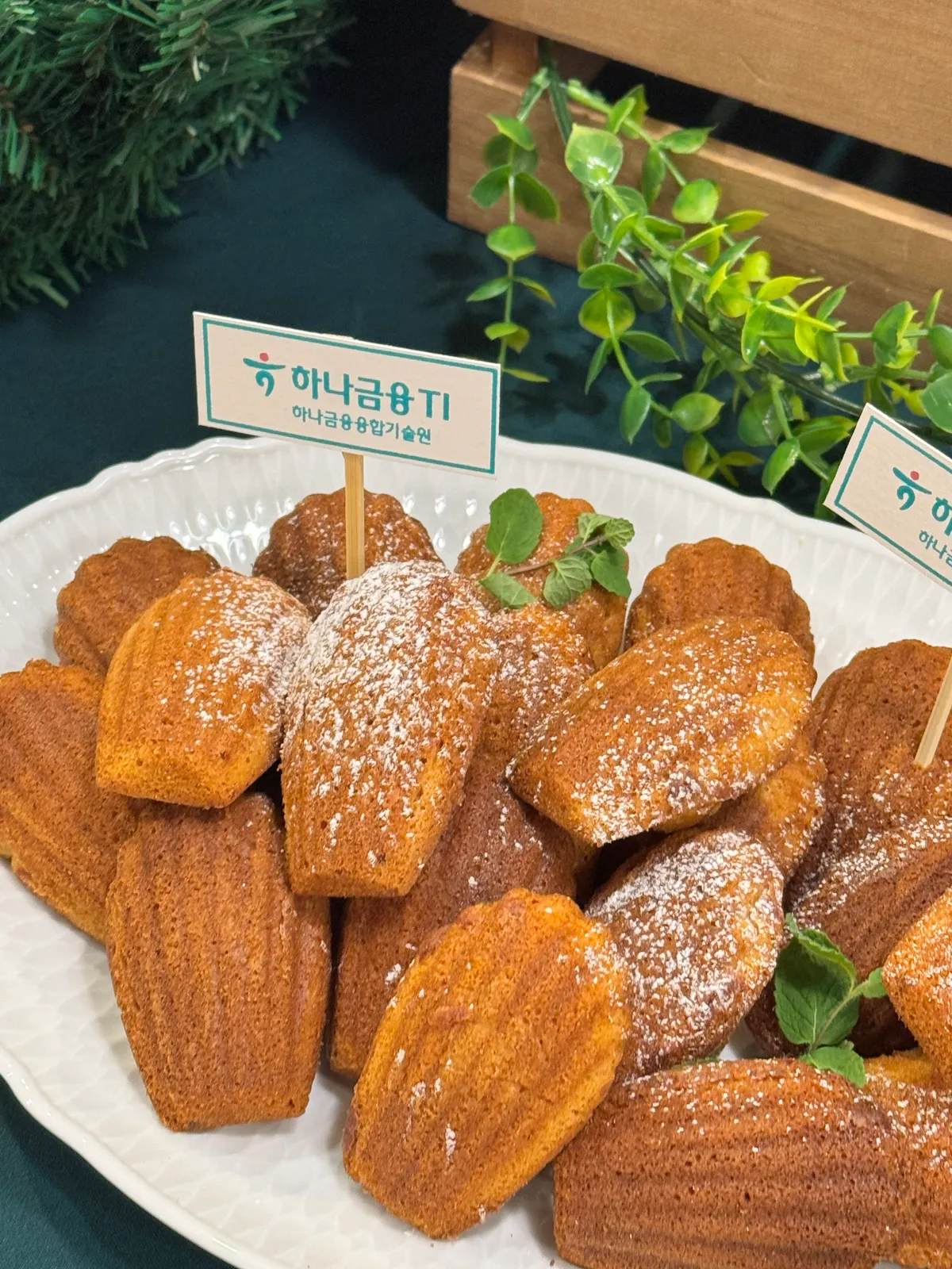 이미지 13