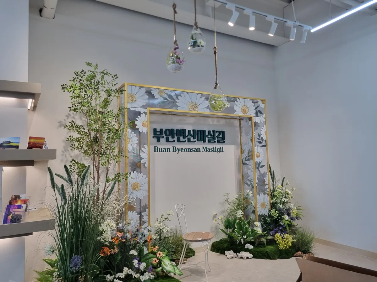 이미지 12