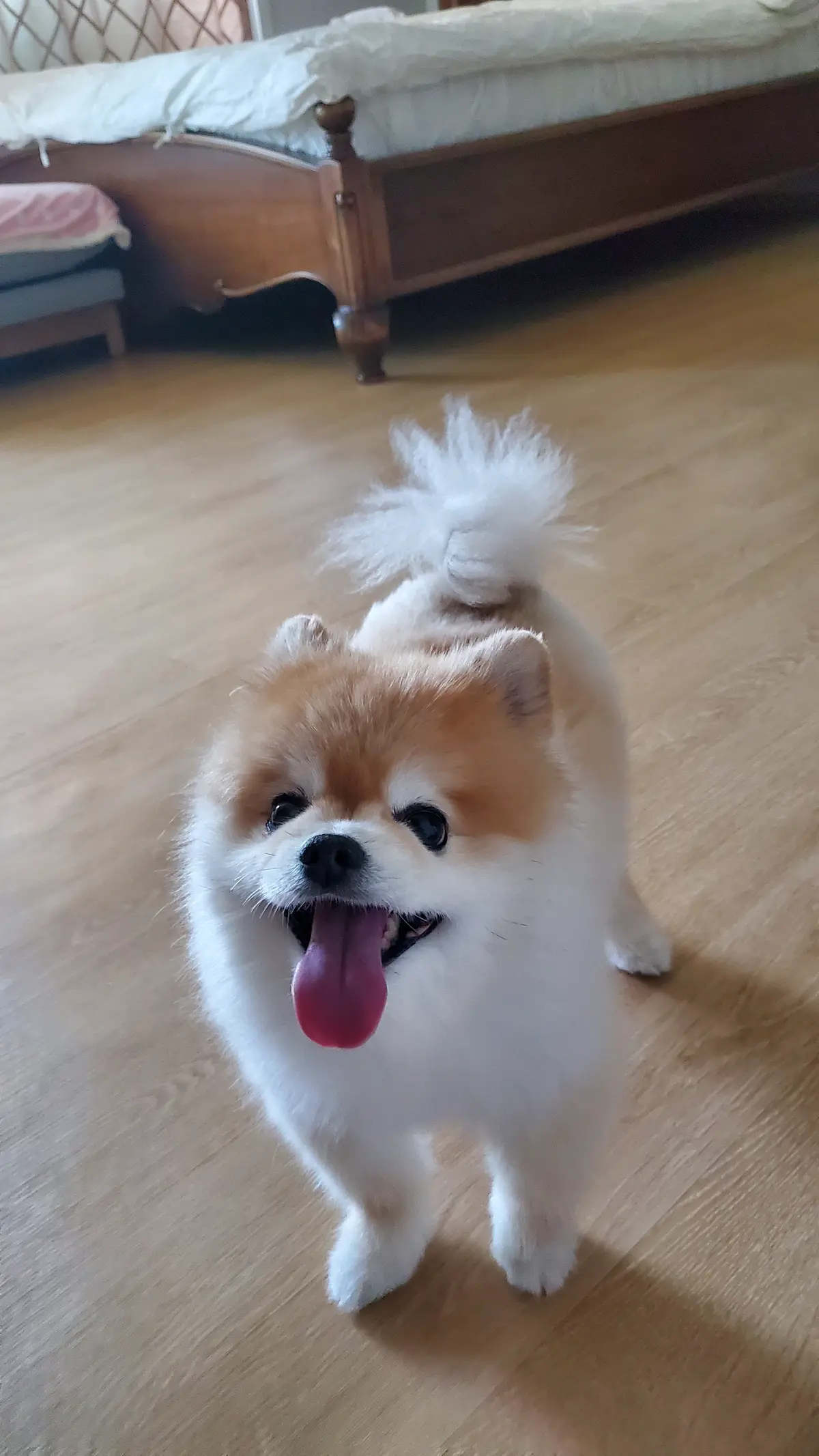 이미지 3