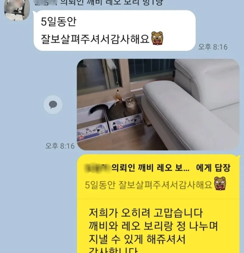 이미지 10