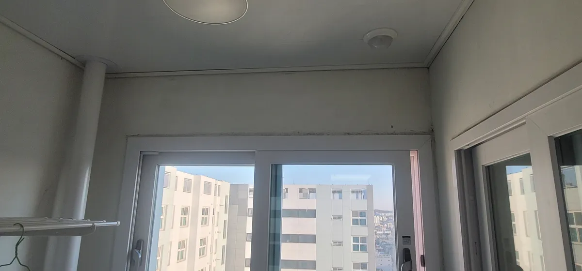 이미지 12