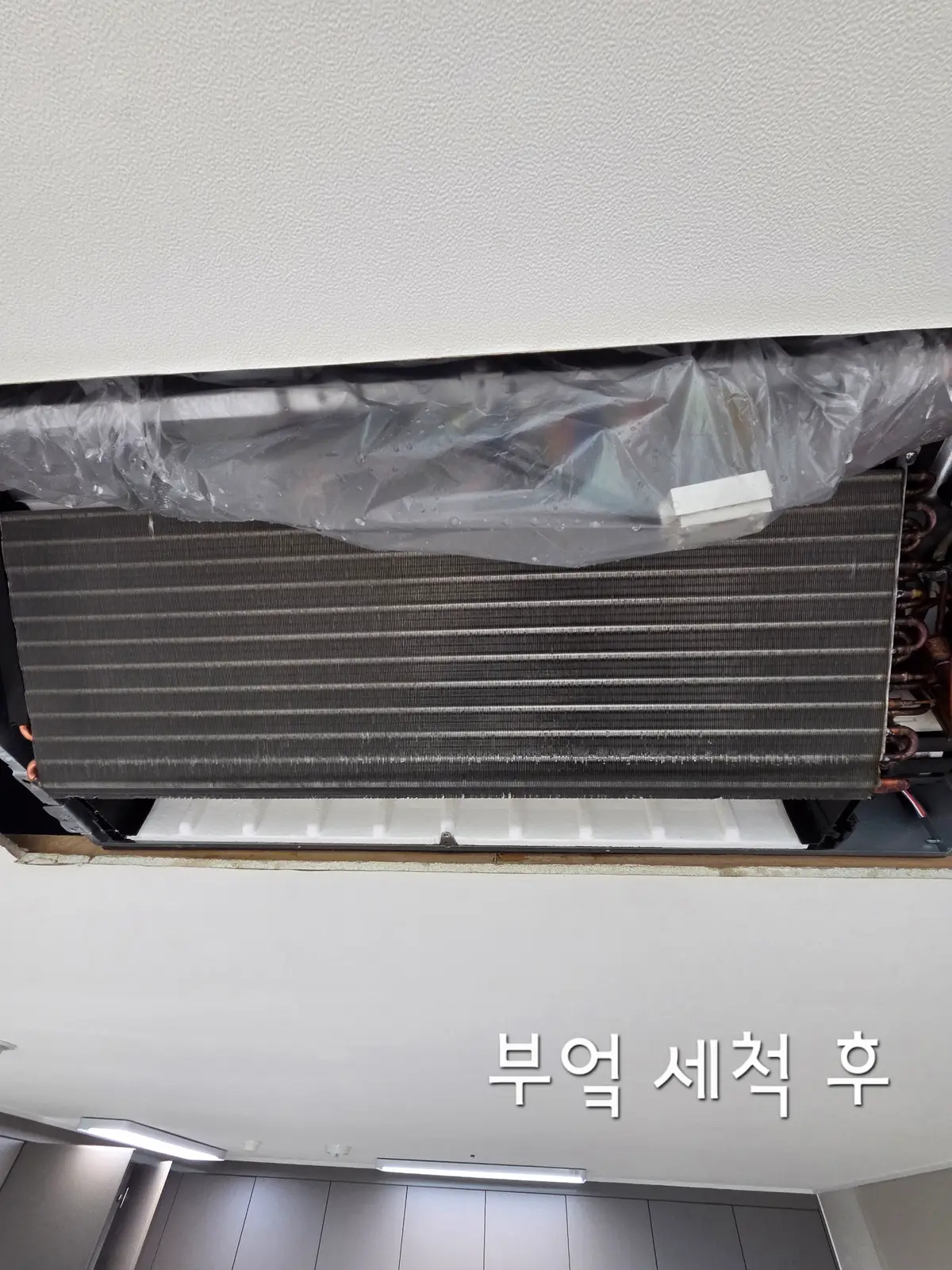 이미지 8