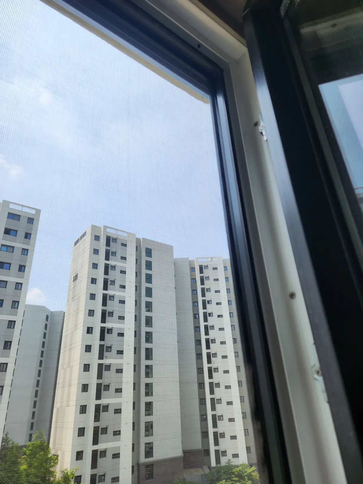 이미지 9