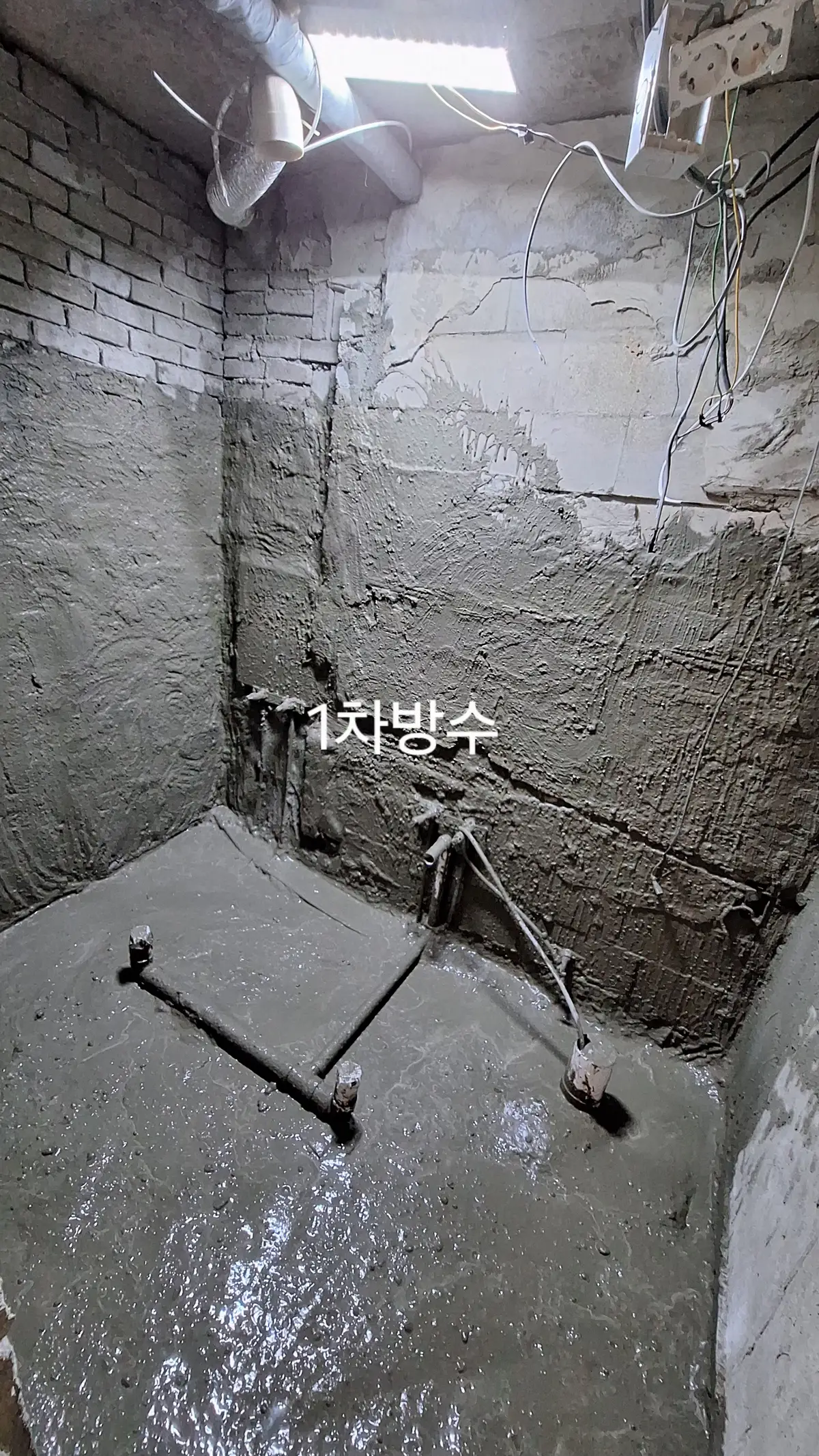 이미지 4
