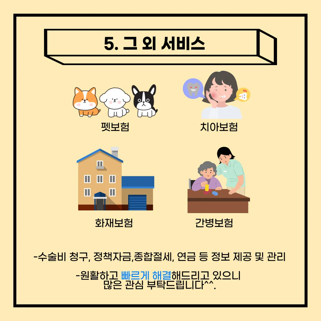 이미지 11