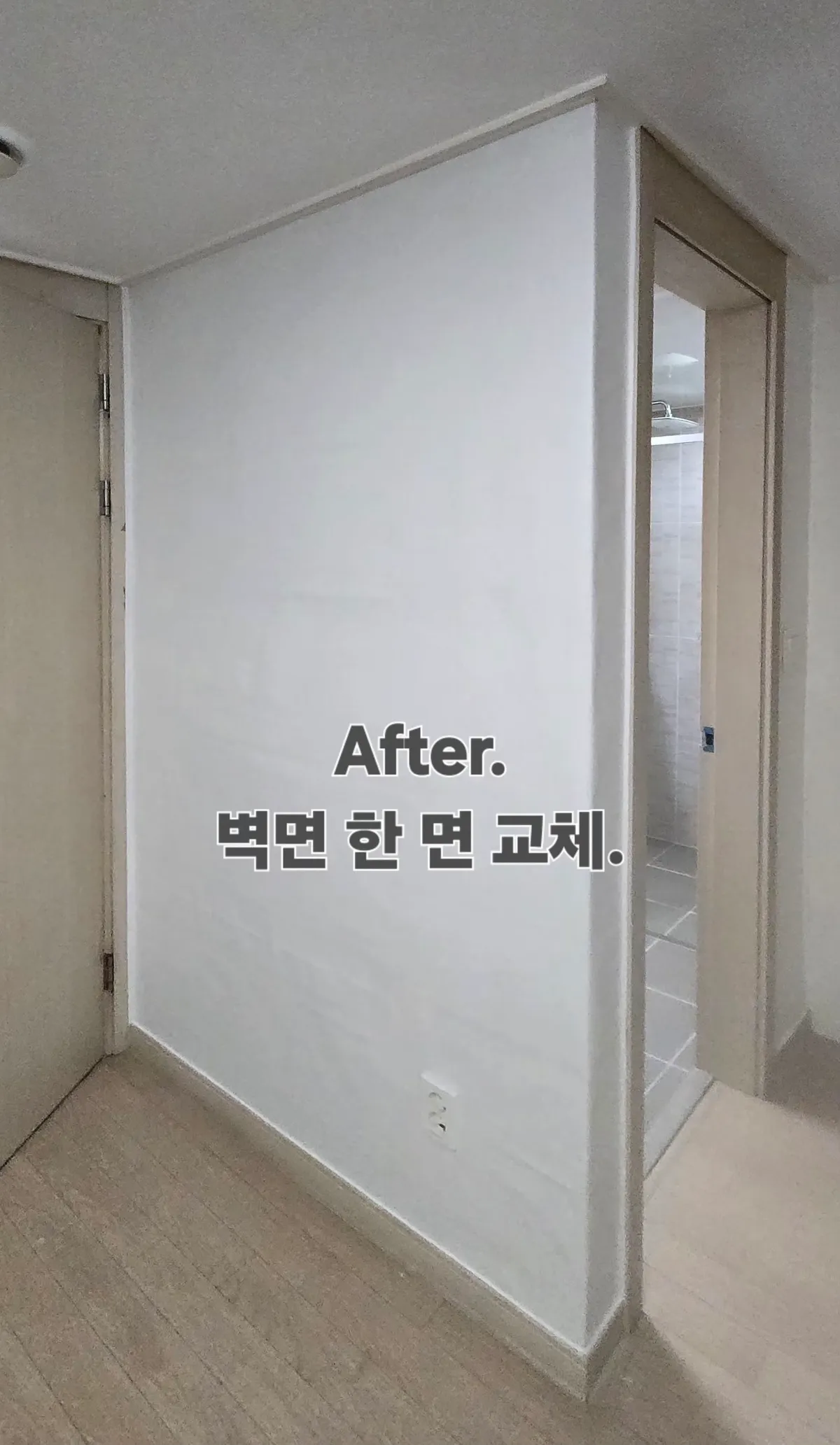 이미지 14
