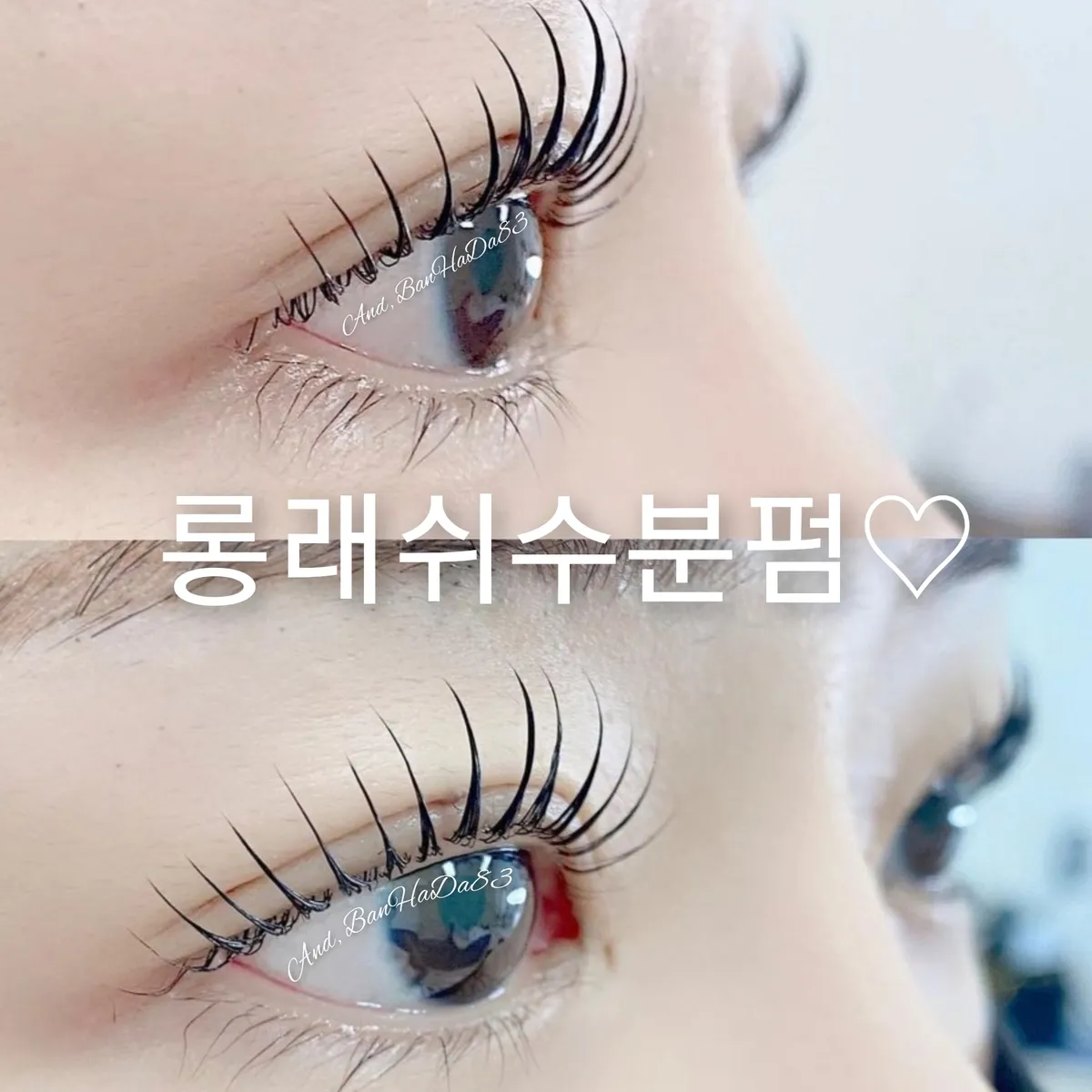 이미지 8