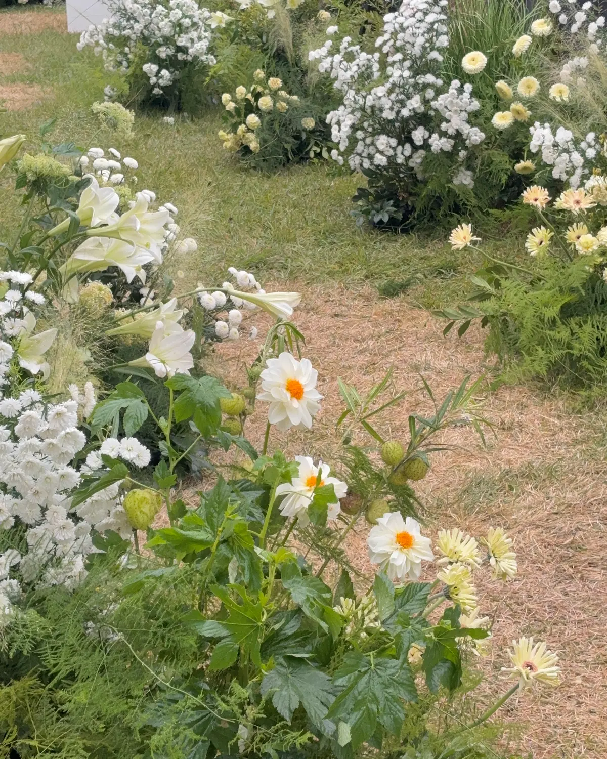이미지 8