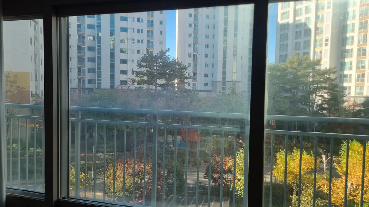 이미지 4