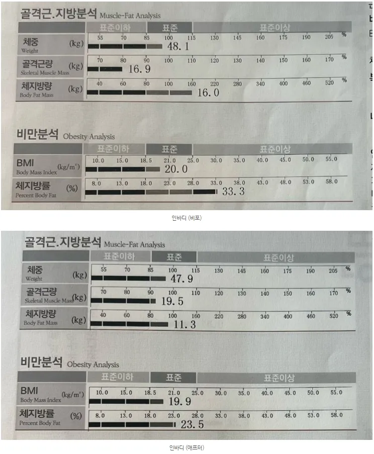 이미지 4