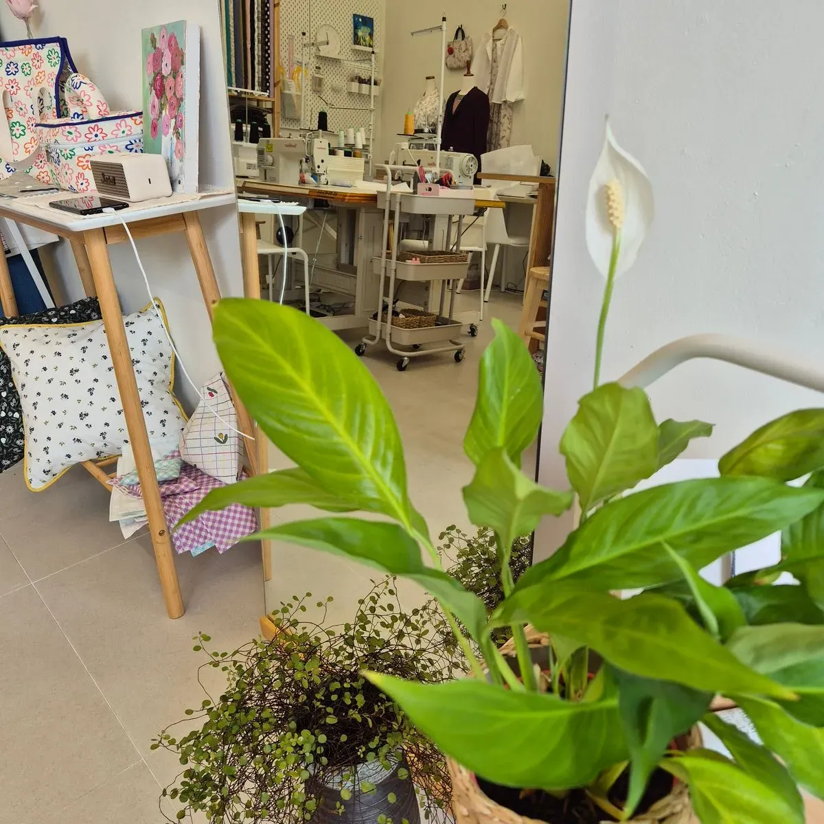 포트폴리오 이미지