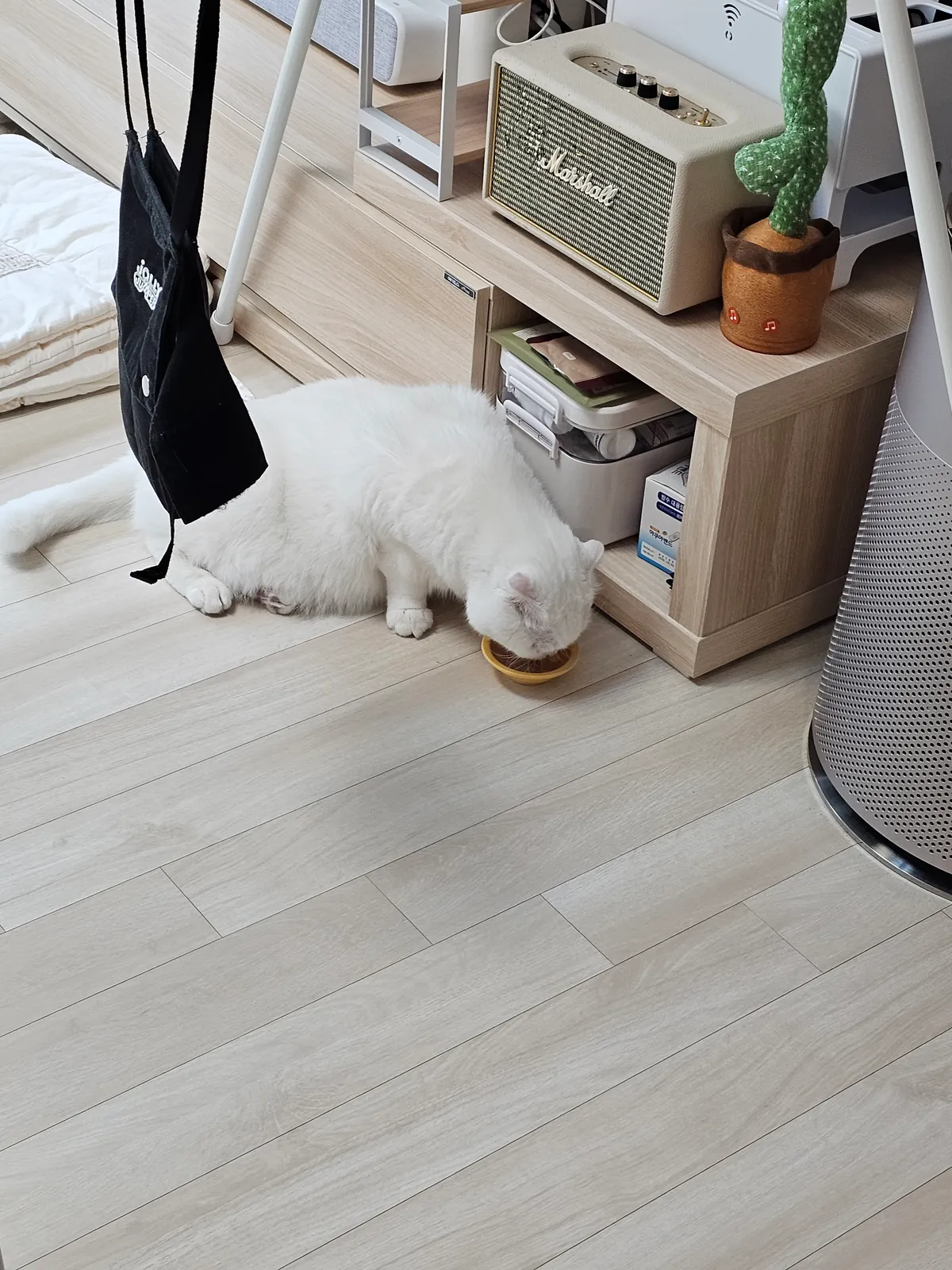 이미지 8