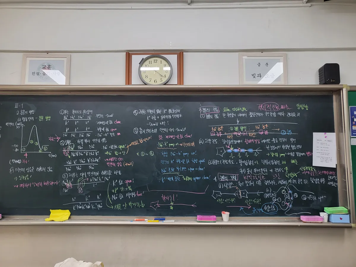 이미지 8