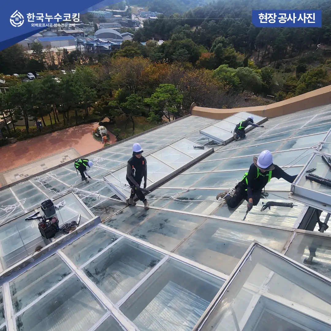 이미지 14