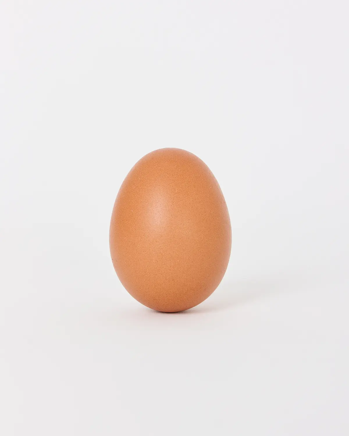 이미지 9