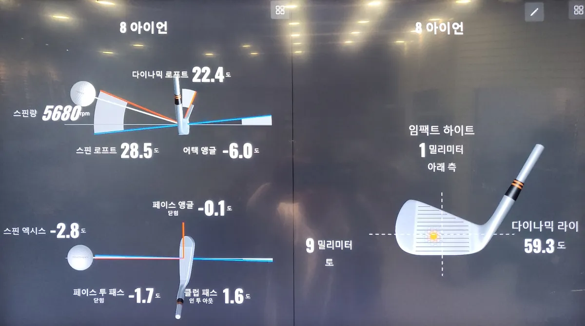 이미지 8