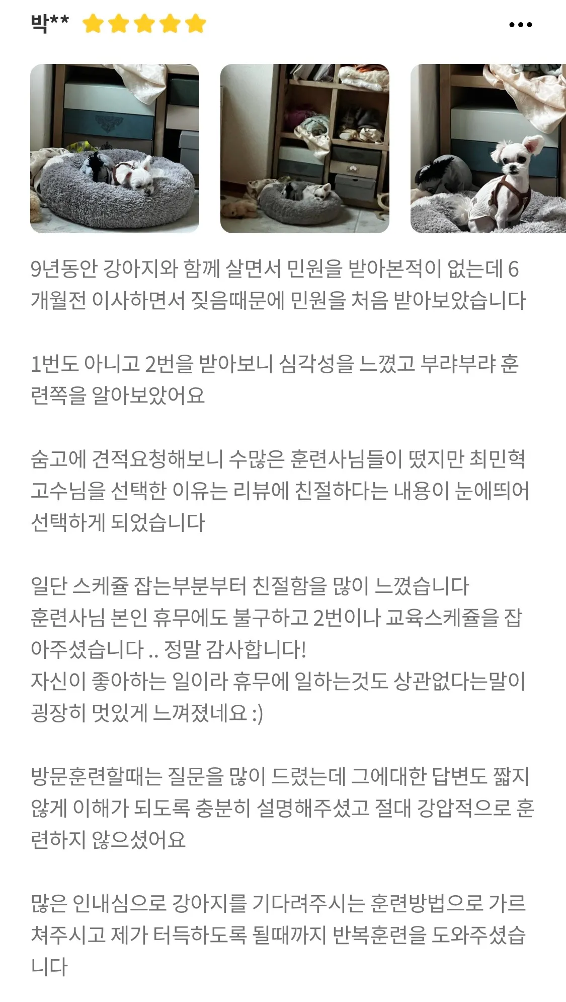 이미지 6