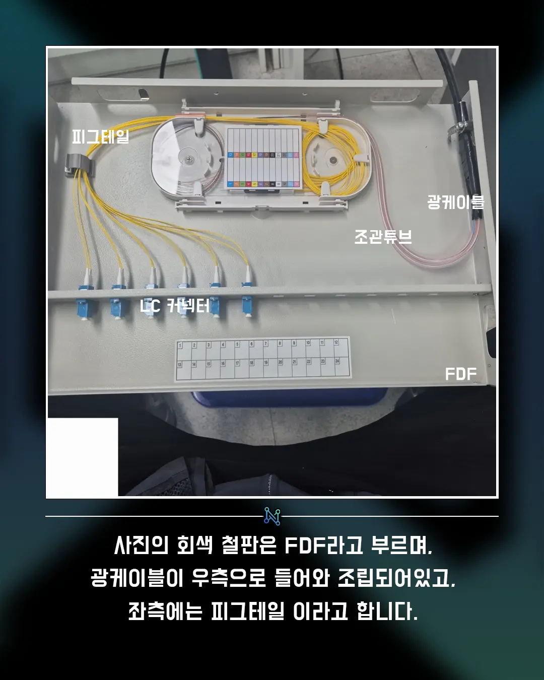이미지 4