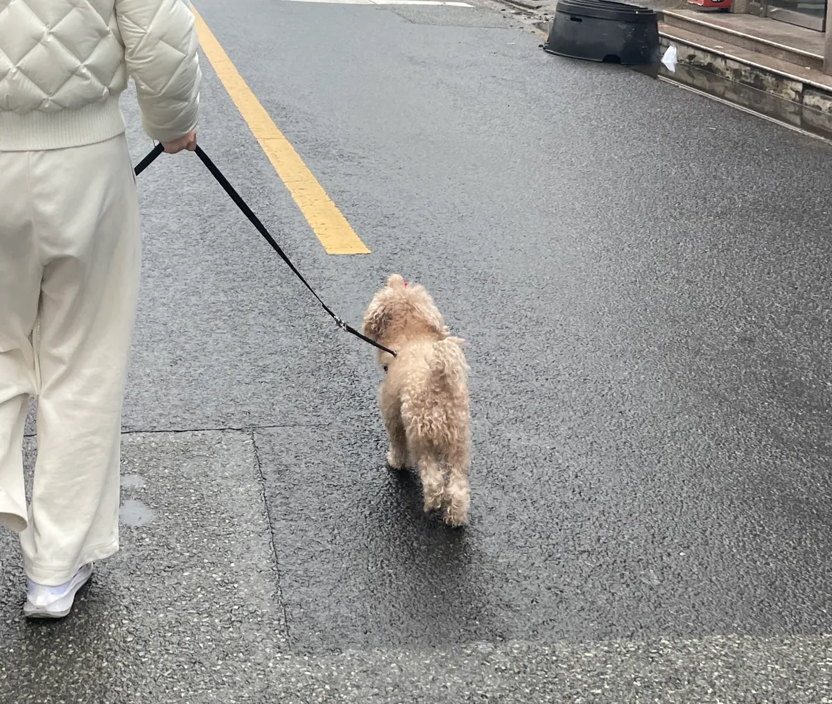 이미지 3