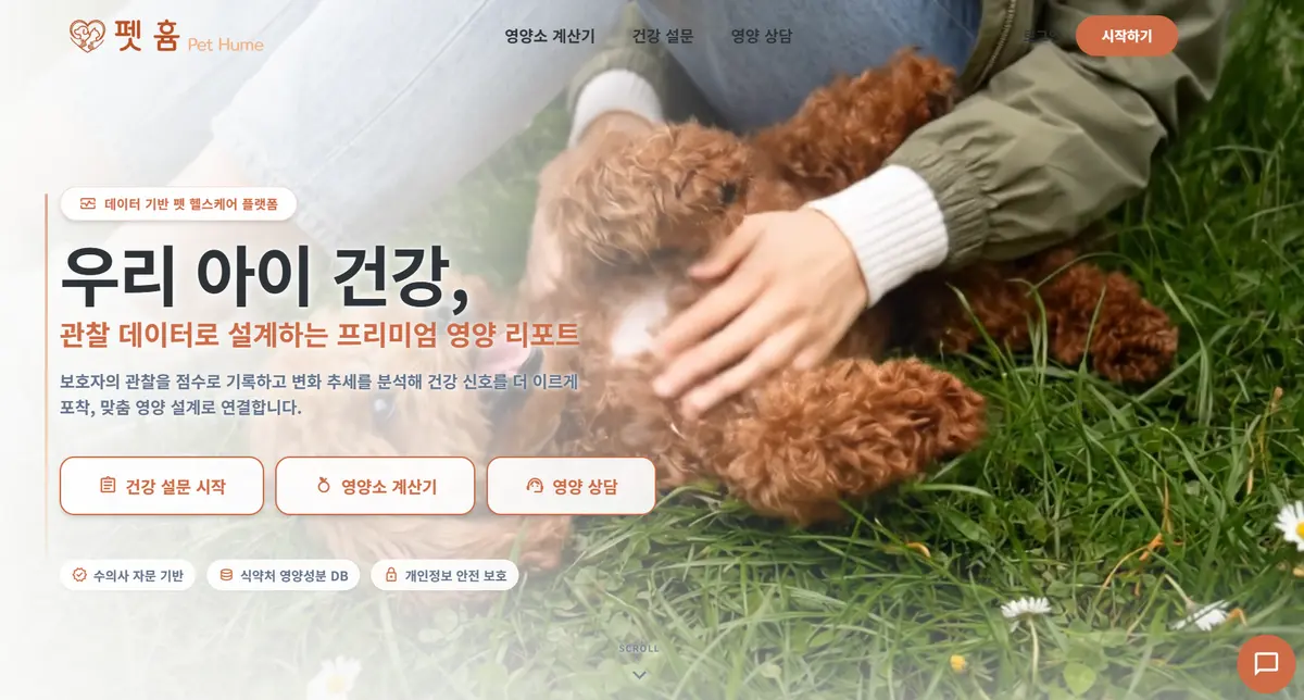 이미지 6