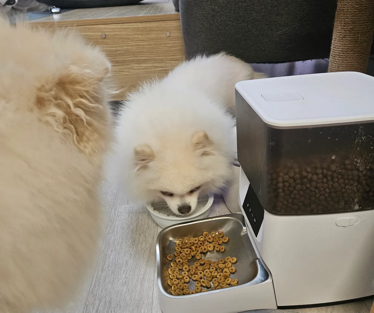 이미지 3