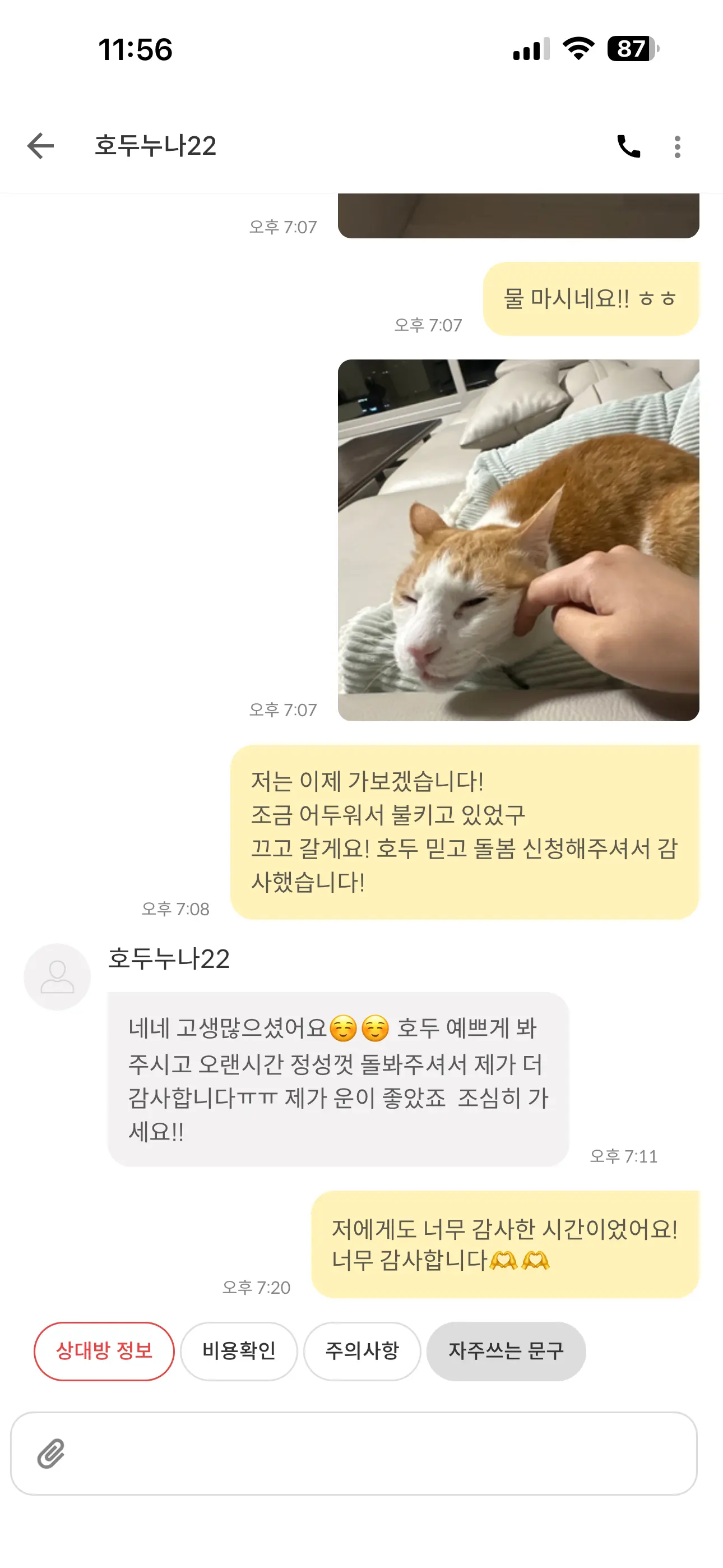 이미지 9
