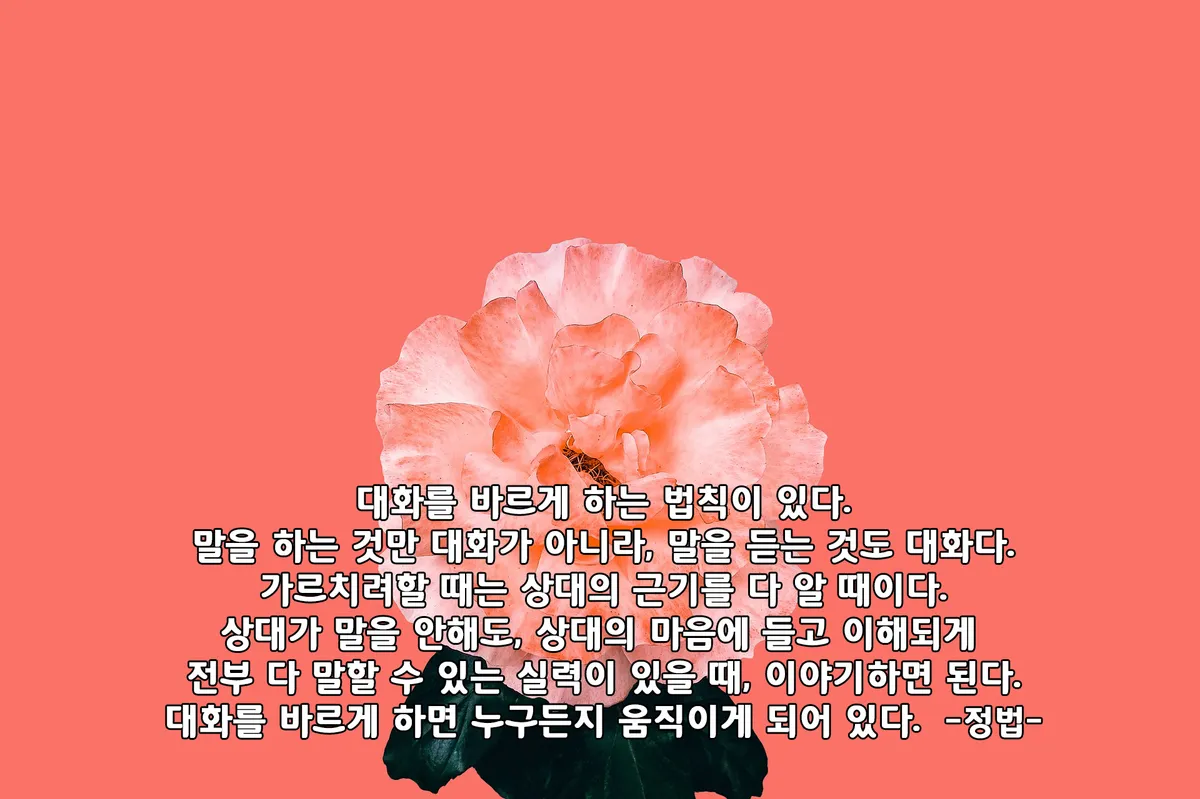 이미지 5