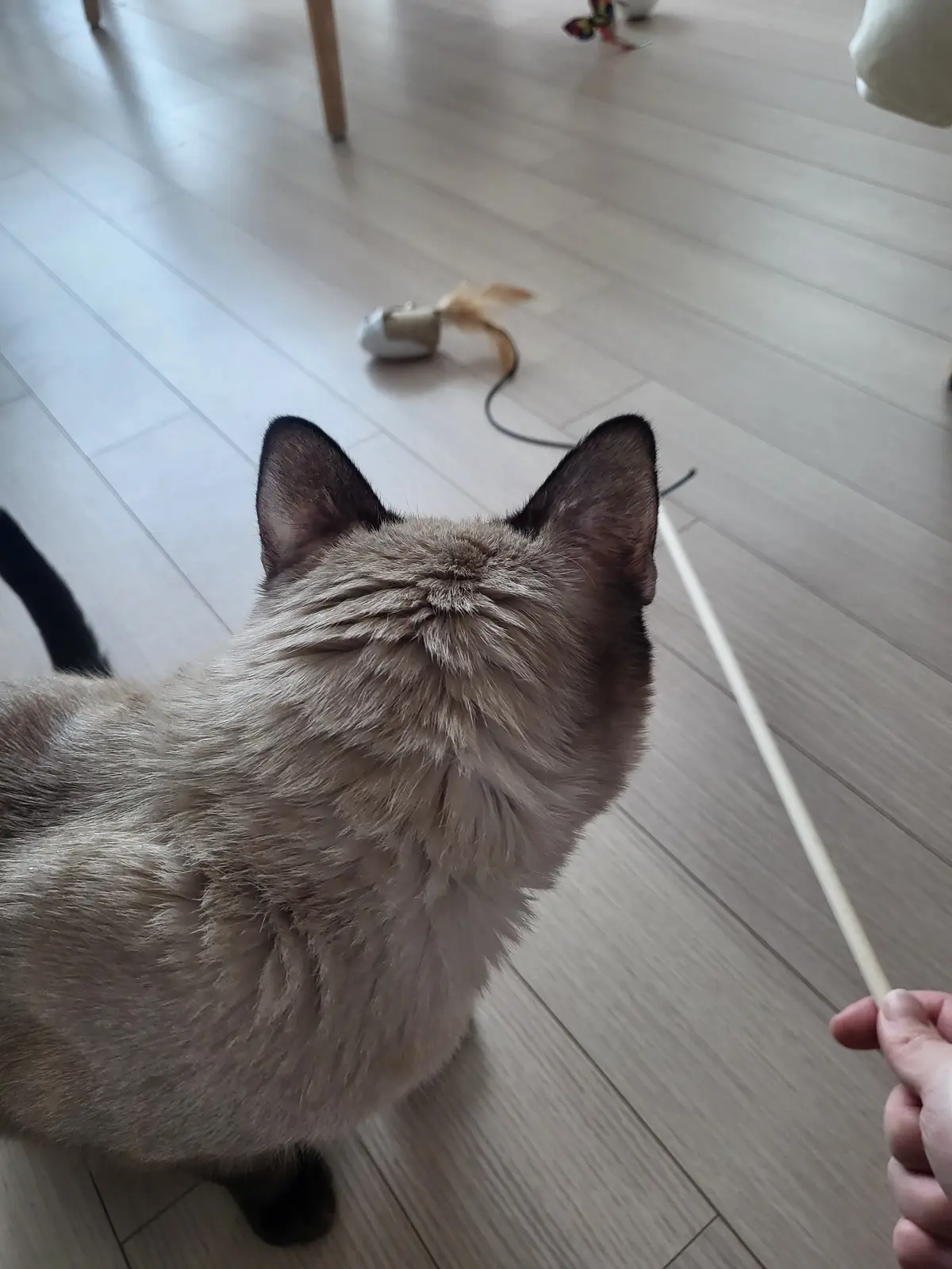 이미지 7