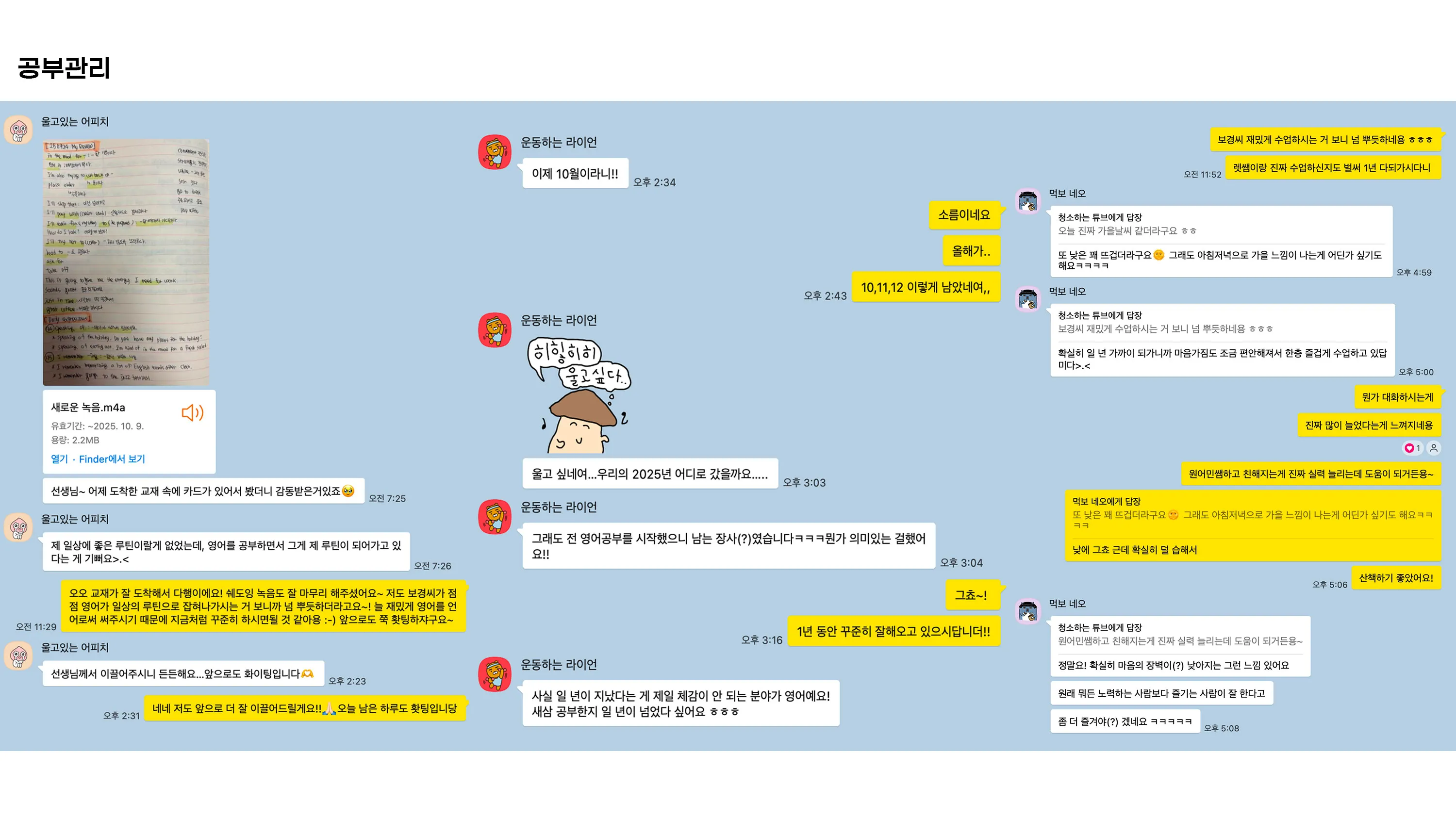 이미지 10