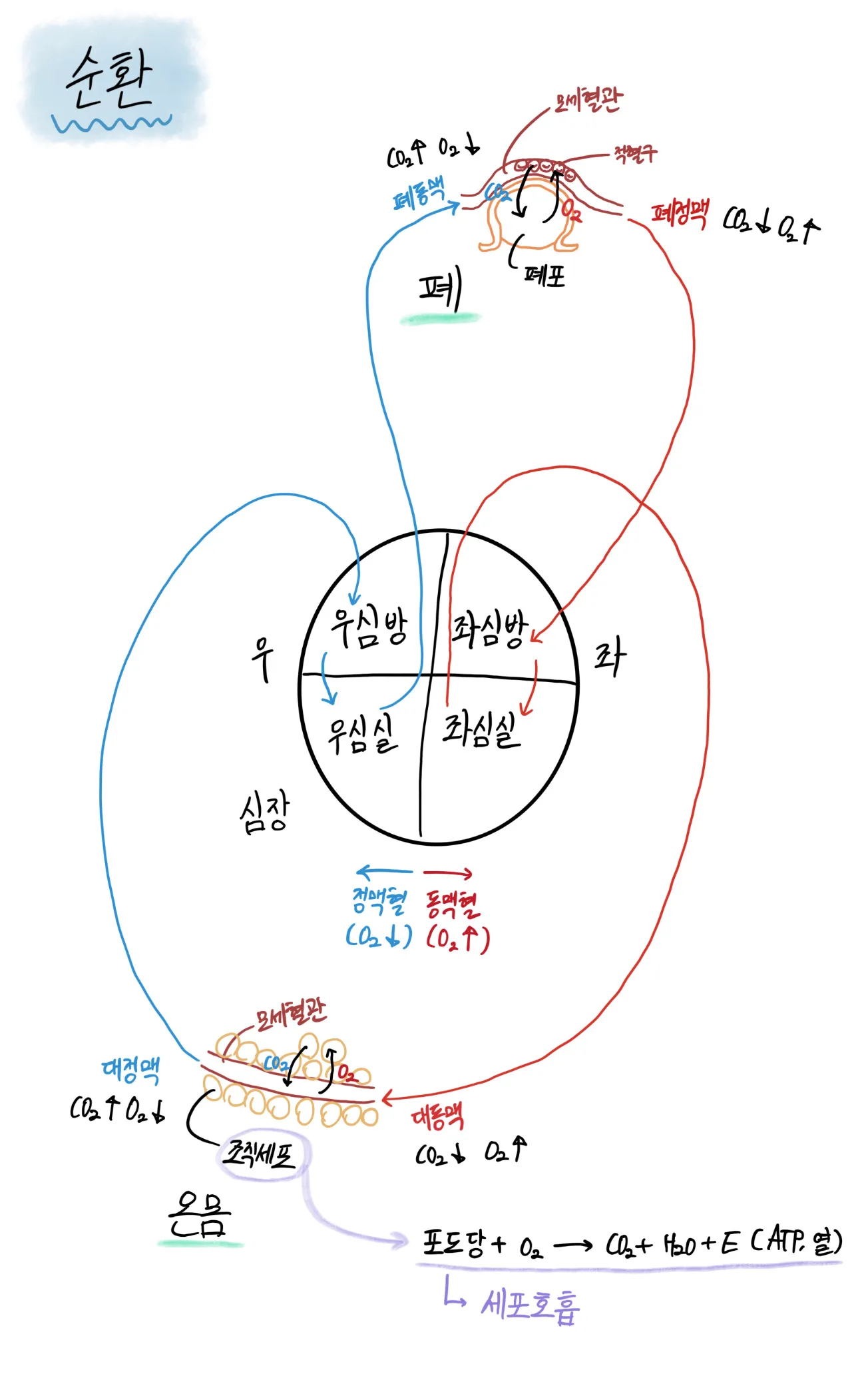 이미지 4