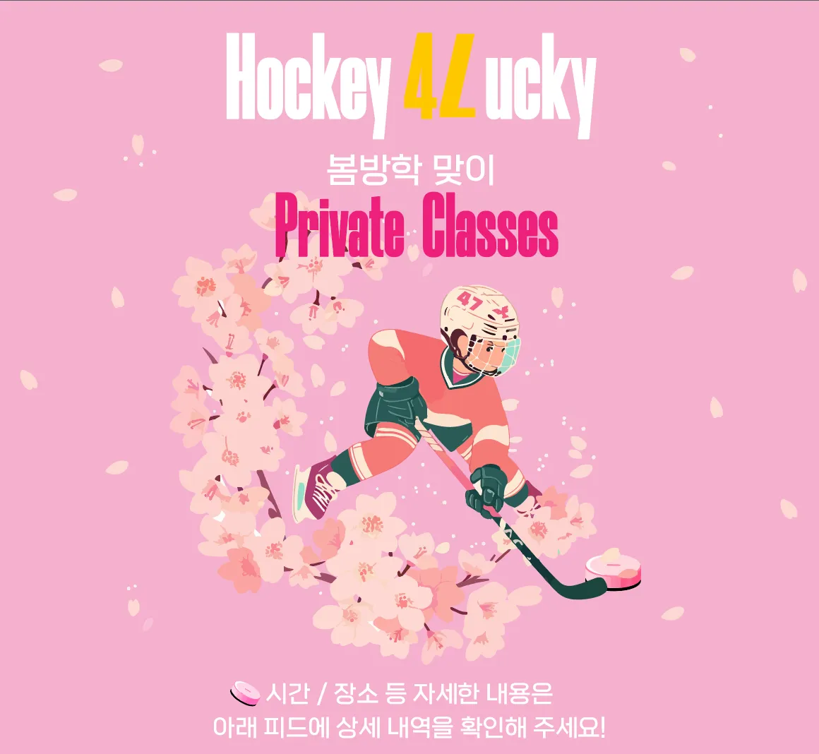 이미지 12