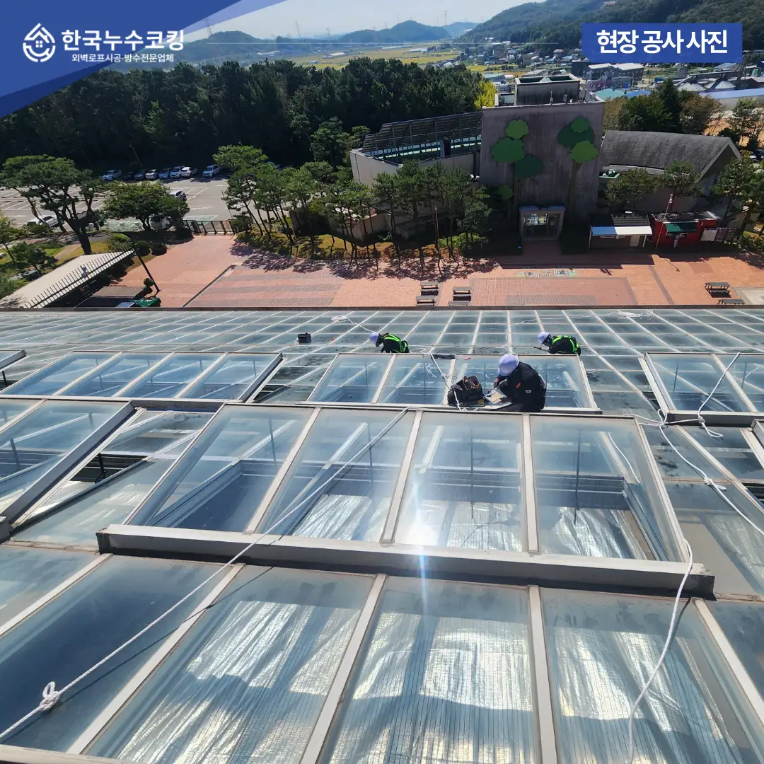 이미지 8