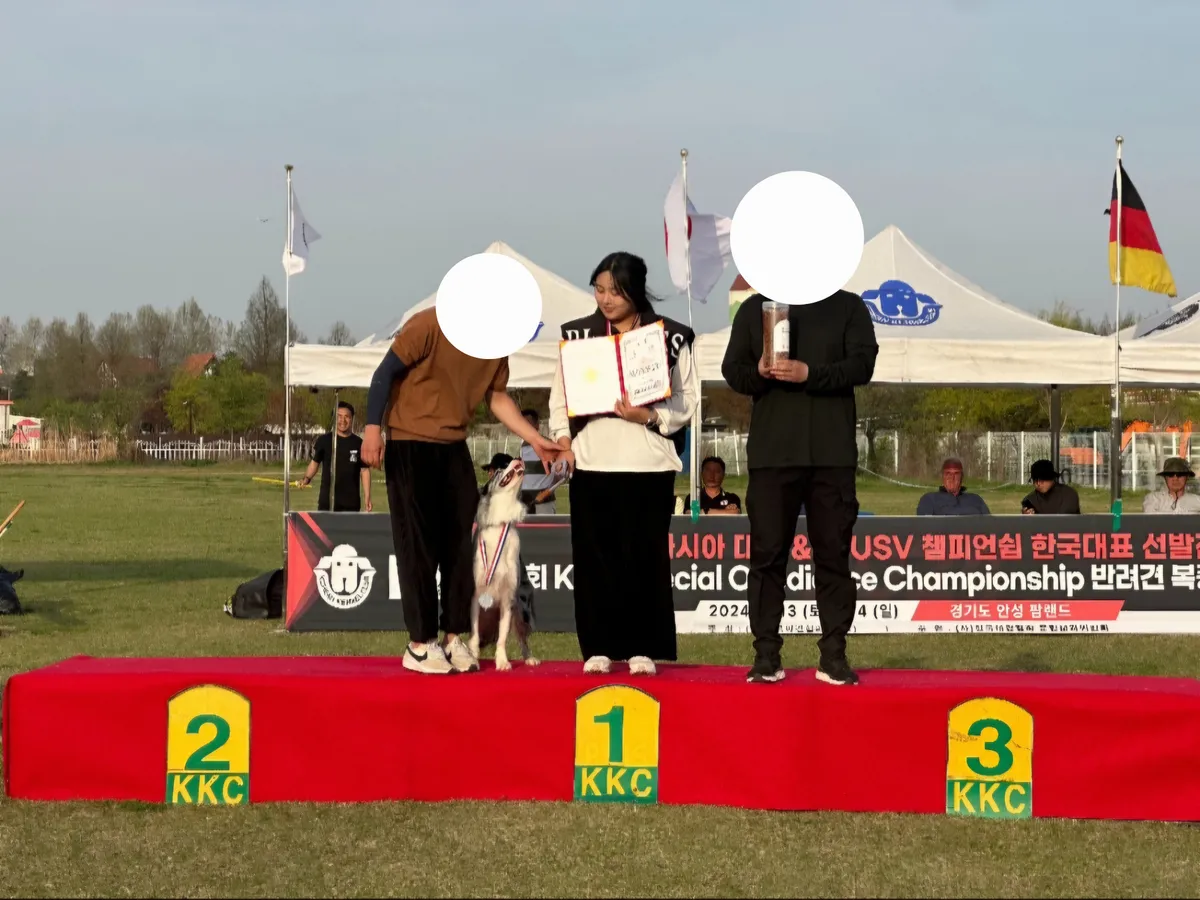 이미지 9