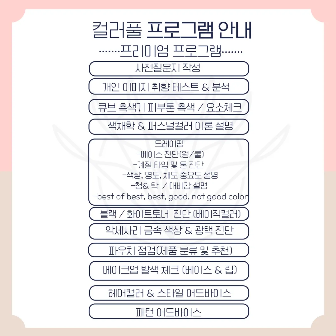 이미지 5