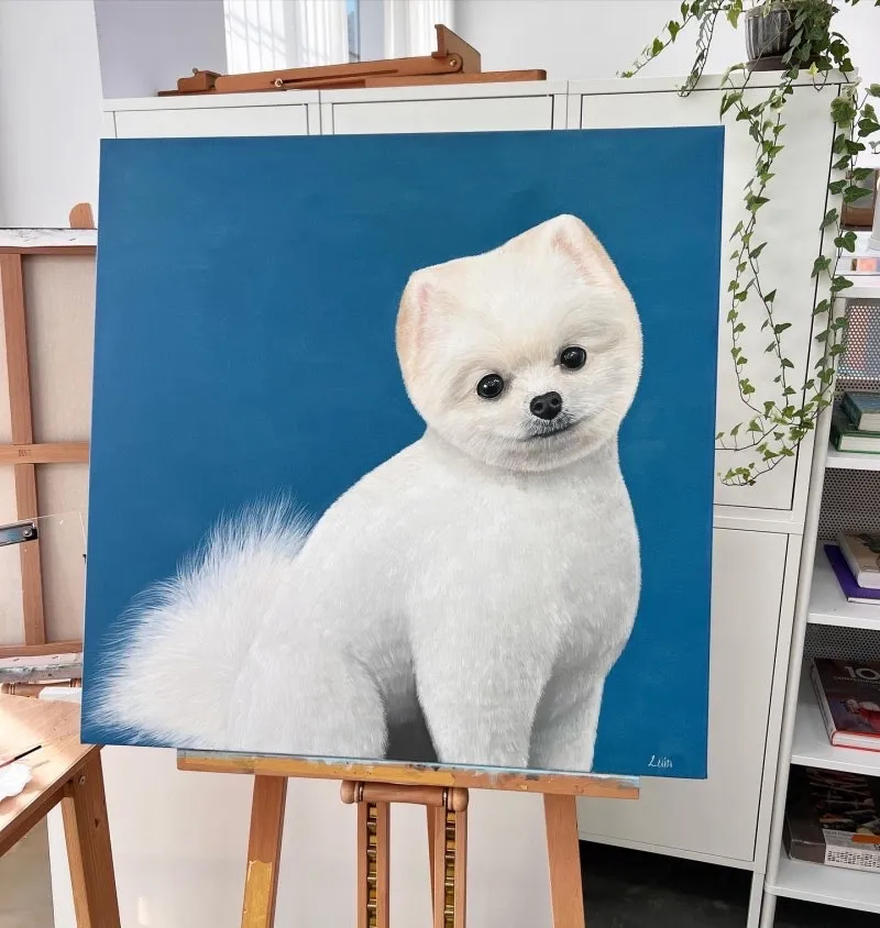 이미지 11