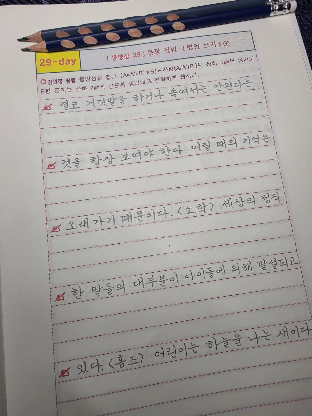 이미지 12