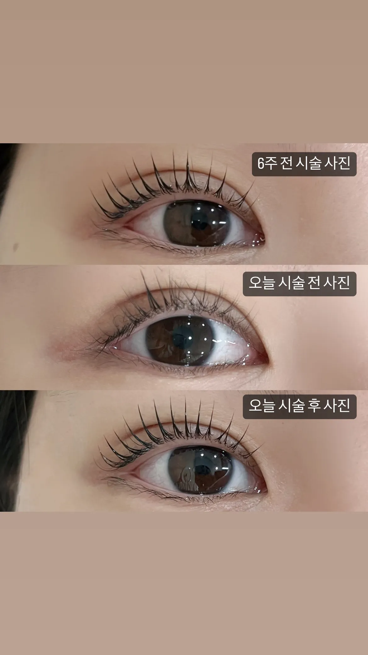 이미지 4