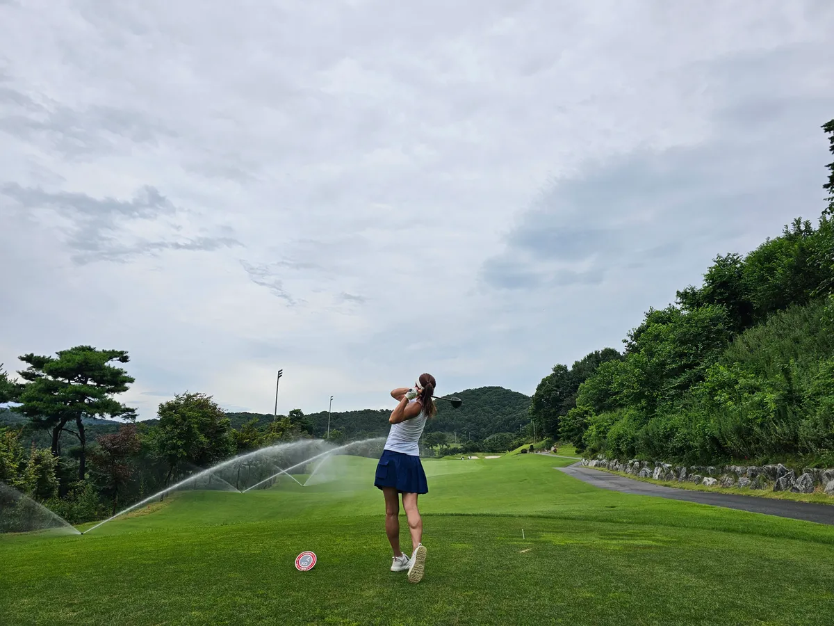 이미지 11