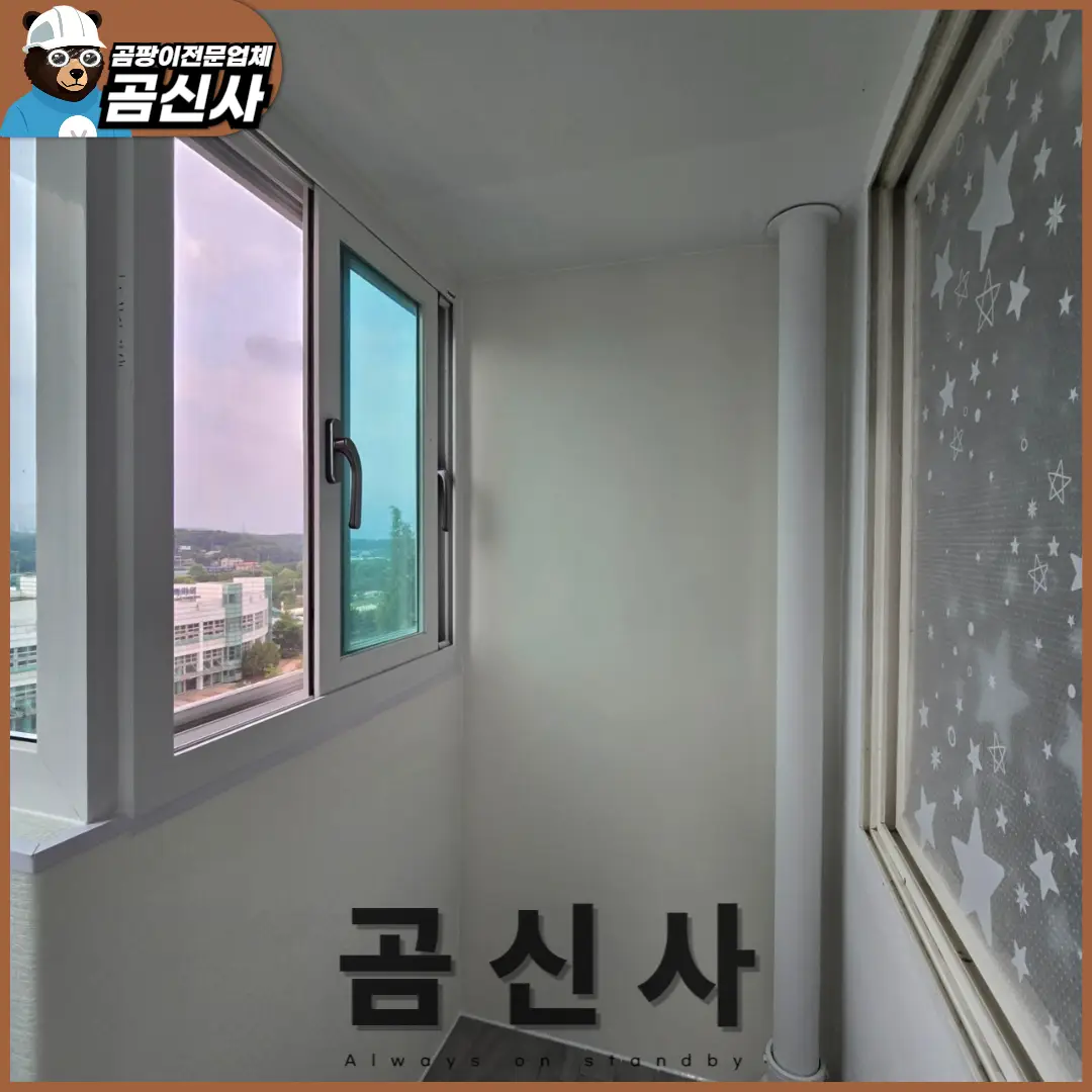 이미지 11