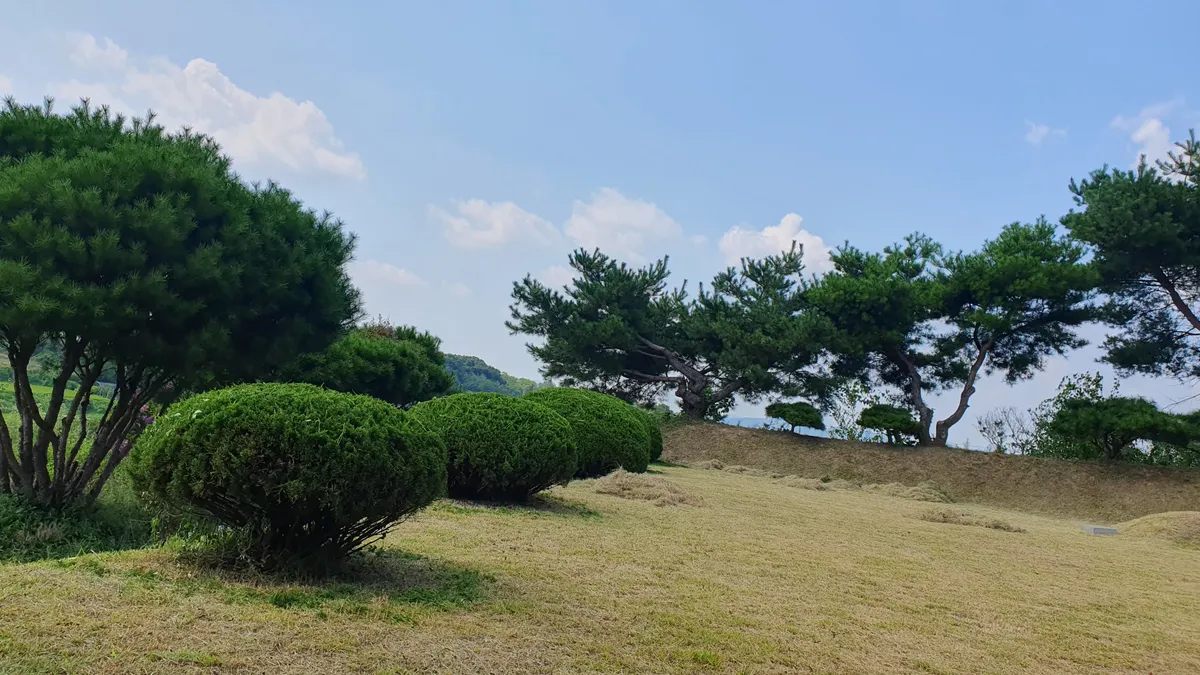 이미지 4
