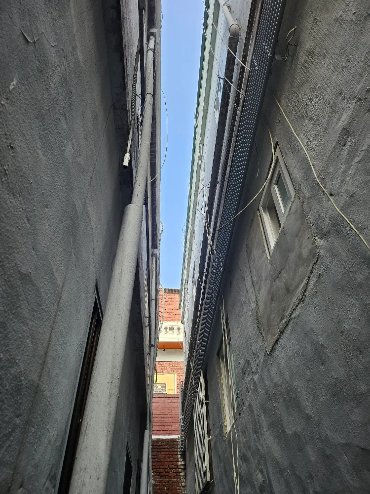 이미지 5