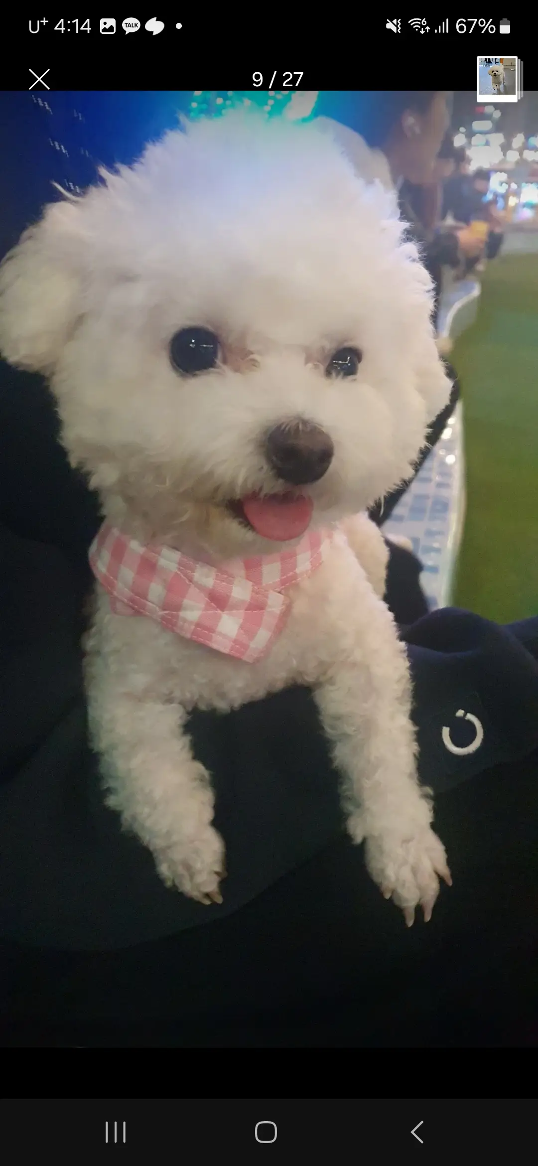 이미지 8