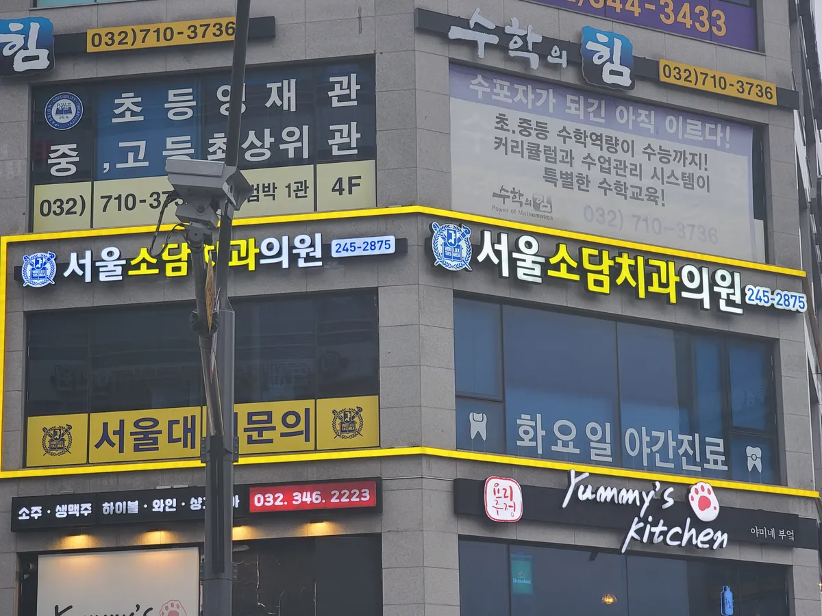 이미지 5