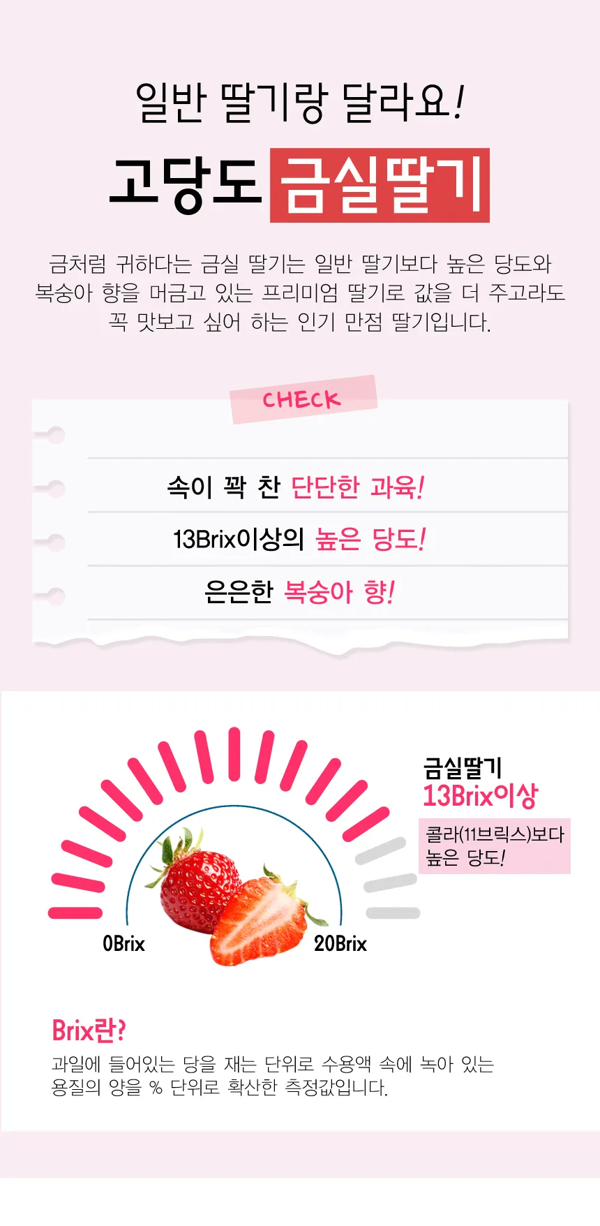 이미지 5