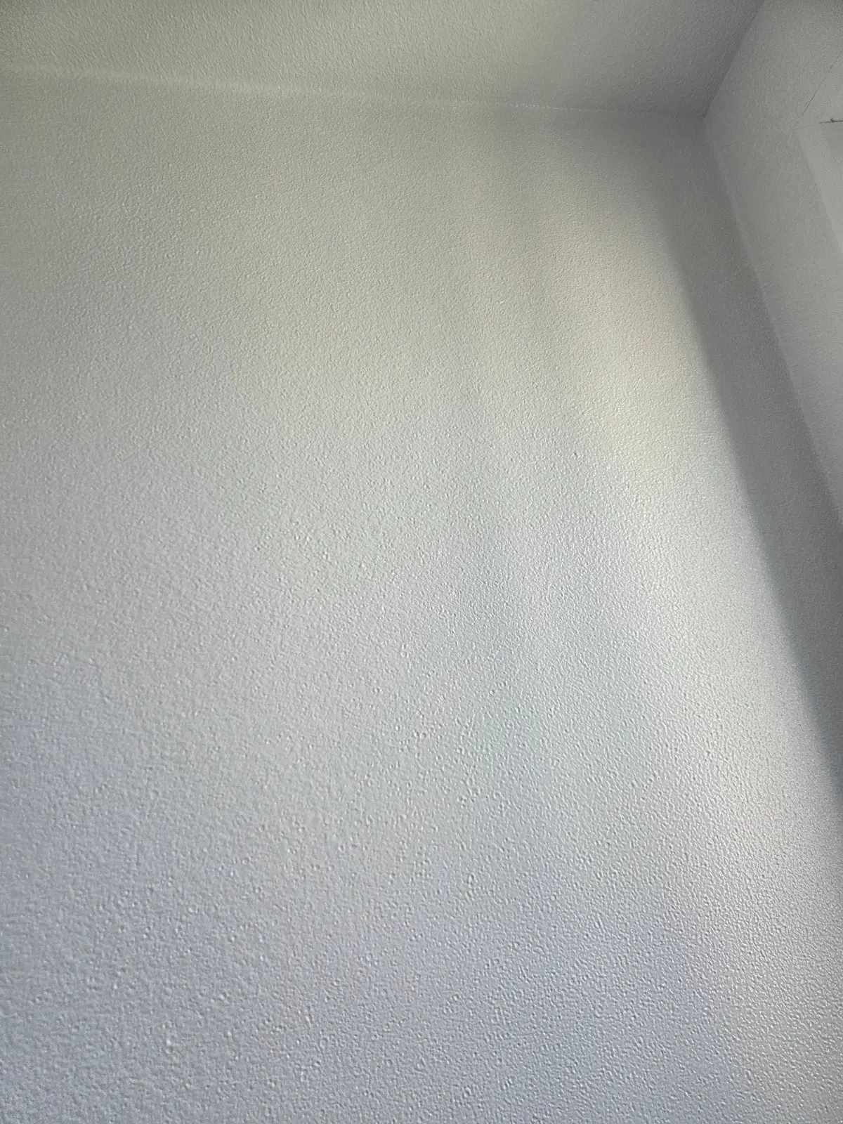 이미지 8
