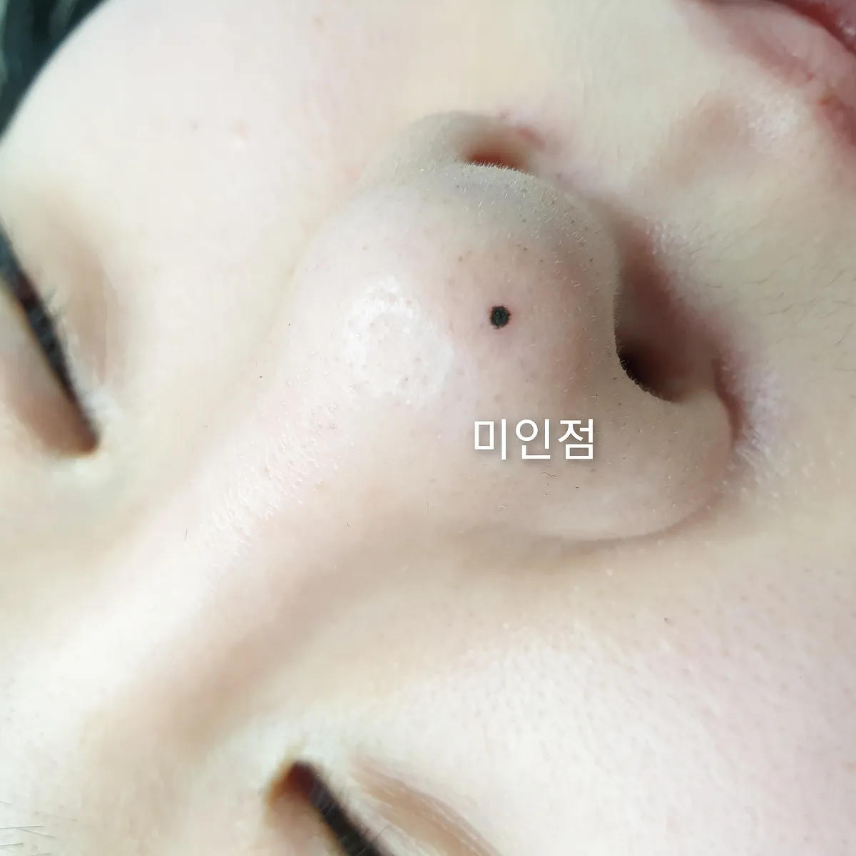 이미지 6