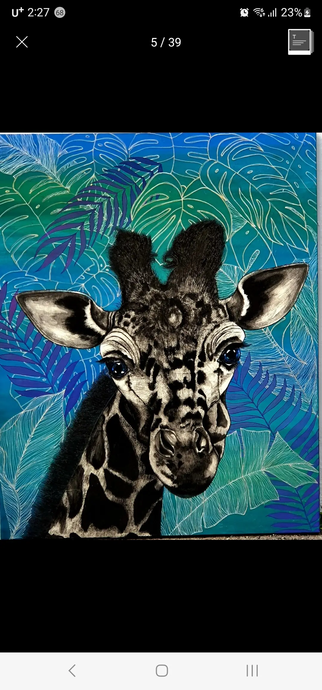 포트폴리오 이미지