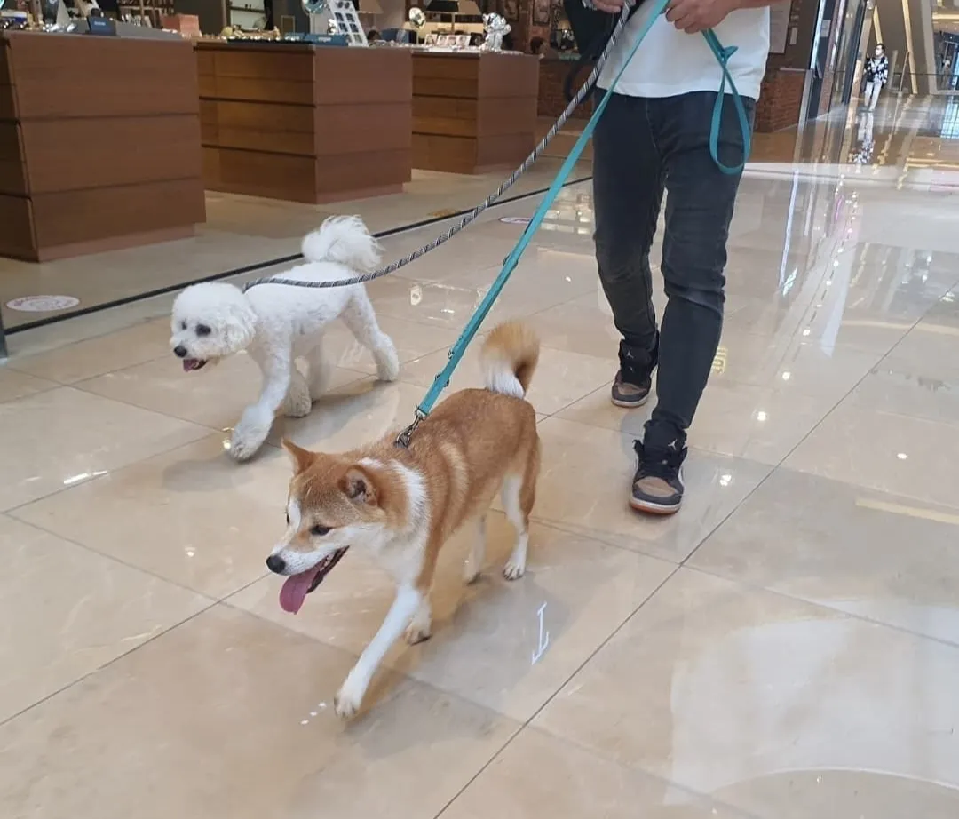 이미지 9