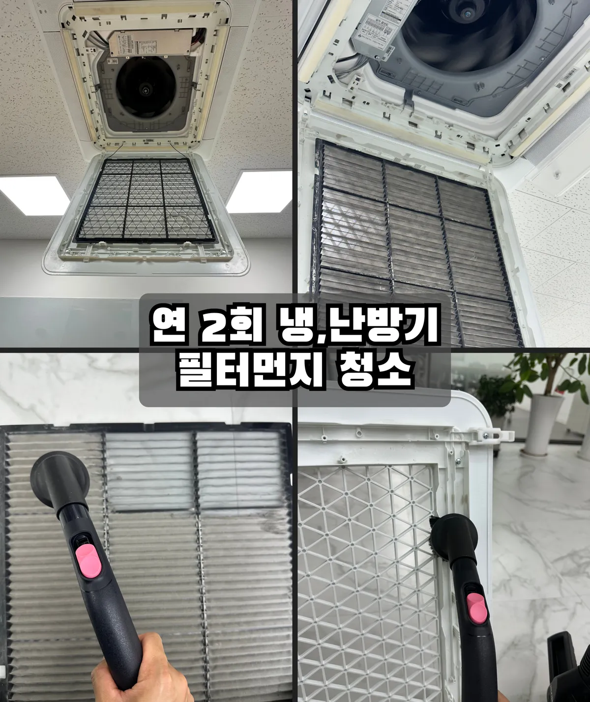 이미지 14