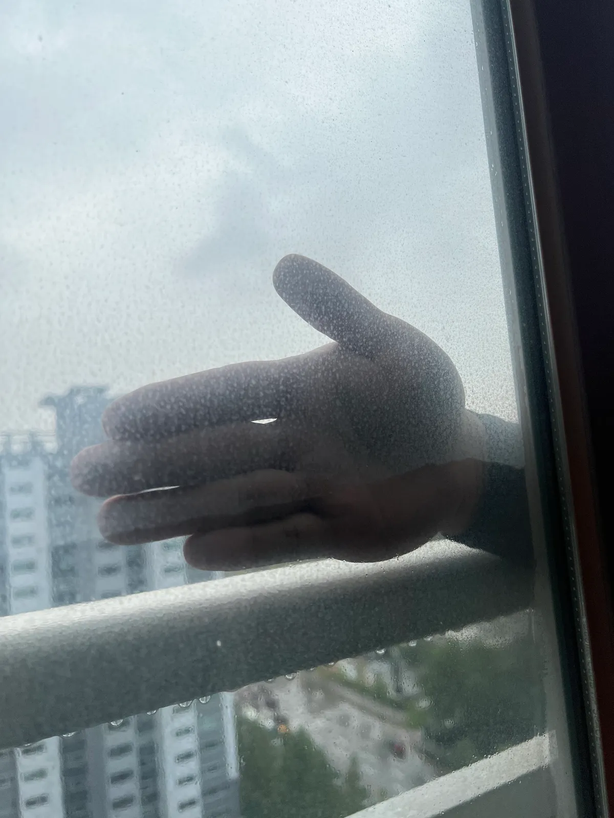 이미지 4